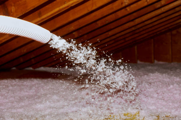 Types of Insulation We Offer in Pegram, TN